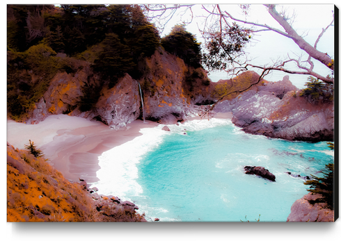 waterfall with sandy beach at Mcway Falls, Big Sur, Highway 1, California, USA Canvas Print by Timmy333