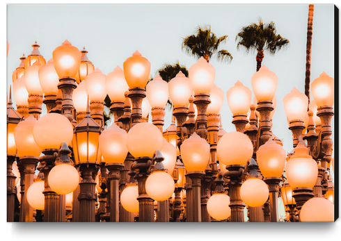 Urban Light with blue sky LACMA Los Angeles California USA Canvas Print by Timmy333