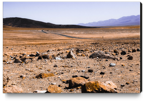 road with desert view at Death Valley national park, California, USA Canvas Print by Timmy333