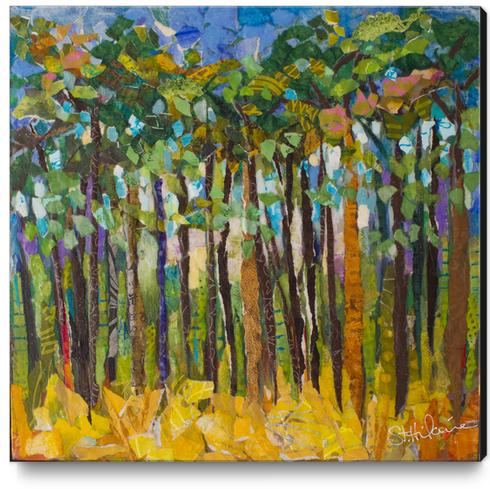 Pine Forrest Canvas Print by Elizabeth St. Hilaire