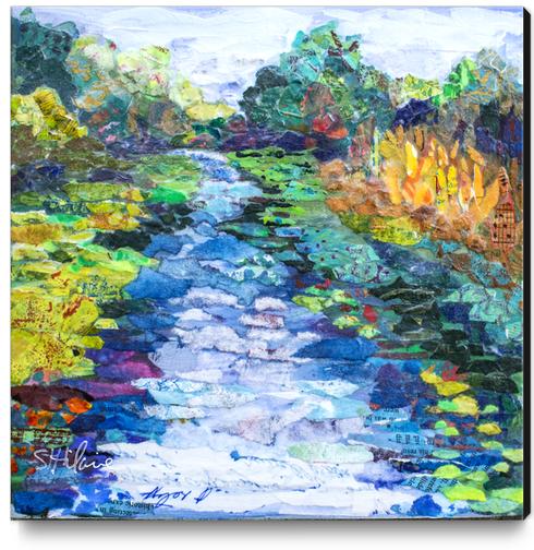 Wekiva River Morning Canvas Print by Elizabeth St. Hilaire