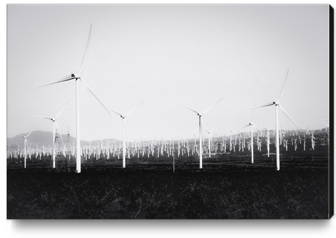 wind turbine in California desert in black and white Canvas Print by Timmy333