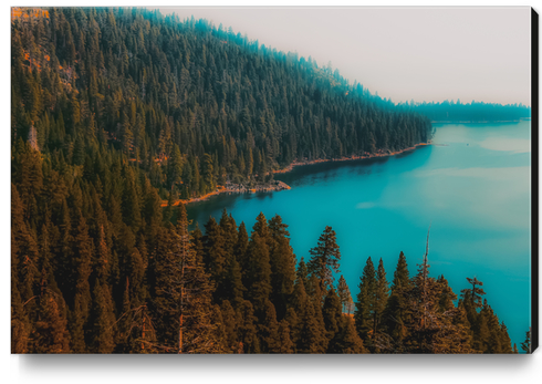 Pine tree and lake view at Emerald Bay Lake Tahoe California USA Canvas Print by Timmy333