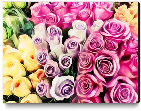 pink purple and yellow roses painting background Canvas Print by Timmy333