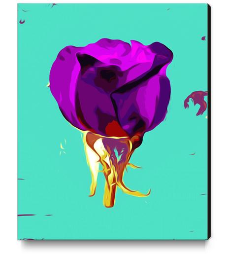 purple rose with gold stem and green background Canvas Print by Timmy333