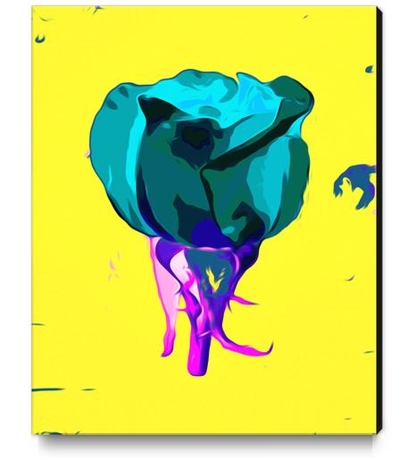 green rose with purple stem and yellow background Canvas Print by Timmy333