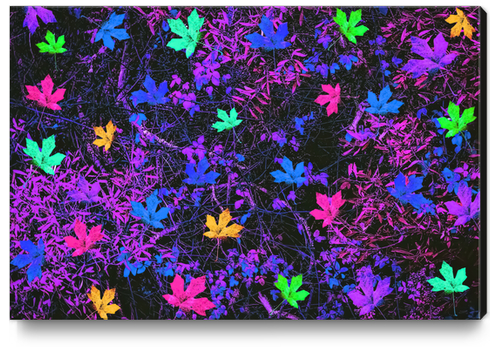 maple leaf in pink blue green yellow purple with pink and purple creepers plants background Canvas Print by Timmy333