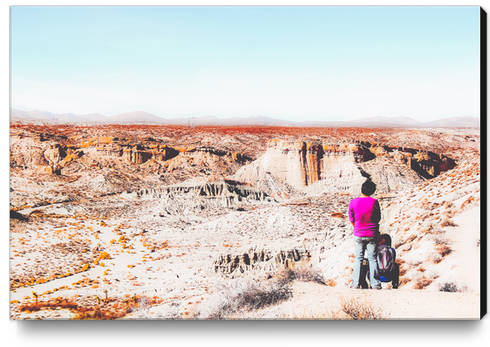 Desert with blue sky in summer in California, USA Canvas Print by Timmy333