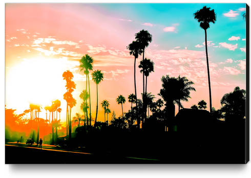 beach summer sunset with palm tree and blue sky Canvas Print by Timmy333