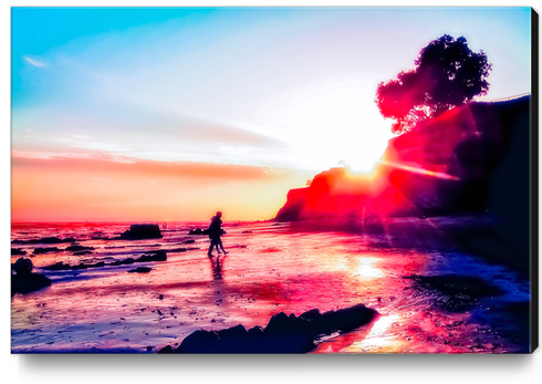 California summer sunset at the beach with blue sky Canvas Print by Timmy333