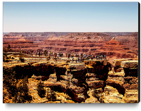 at Grand Canyon national park, USA Canvas Print by Timmy333