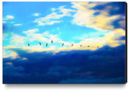 birds flying over with blue cloudy sky Canvas Print by Timmy333