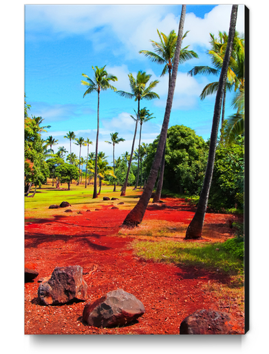 palm trees with green tree and blue cloudy sky in summer Canvas Print by Timmy333