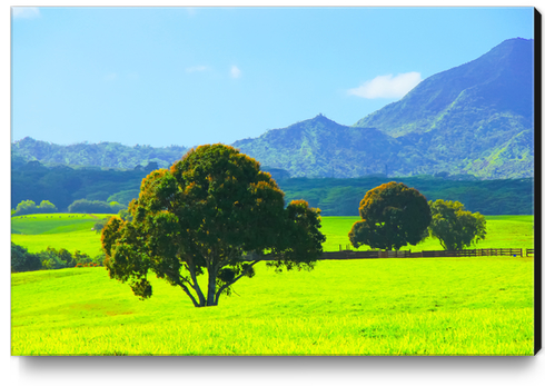 green tree in the green field with green mountain and blue sky background Canvas Print by Timmy333