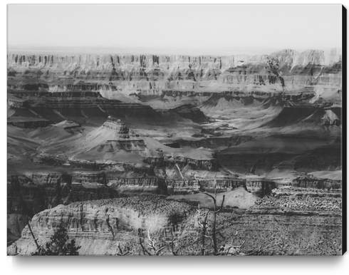 rocky mountain at Grand Canyon national park, USA in black and white Canvas Print by Timmy333