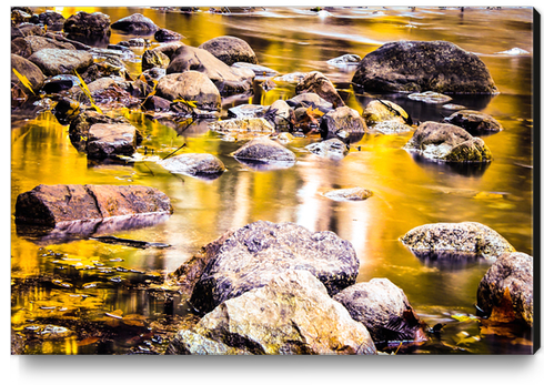 rock and stone in the river with the summer sunset light Canvas Print by Timmy333