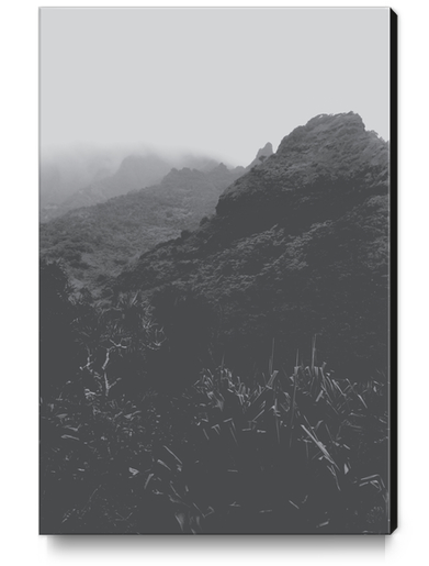 mountain in the forest with foggy sky in black and white Canvas Print by Timmy333