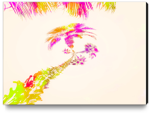 palm tree over the sky in pink purple green yellow Canvas Print by Timmy333