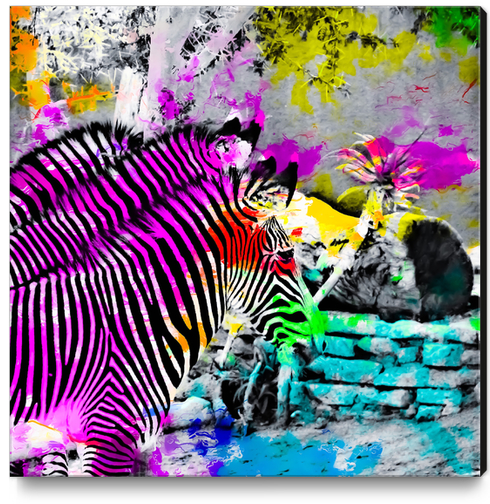 colorful zebra with painting texture abstract in pink yellow blue green Canvas Print by Timmy333