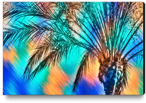 isolate palm tree with painting abstract background in green blue orange Canvas Print by Timmy333