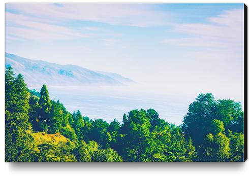 Beautiful ocean view with forest front view at Big Sur, California, USA Canvas Print by Timmy333