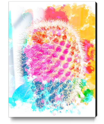 closeup cactus with colorful painting abstract in pink orange blue Canvas Print by Timmy333