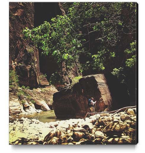 Hiking in the forest at Zion national park, USA Canvas Print by Timmy333