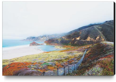 Beautiful landscape at Big Sur, California, USA Canvas Print by Timmy333