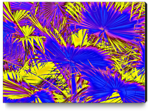 closeup palm leaf texture abstract background in blue pink and yellow Canvas Print by Timmy333