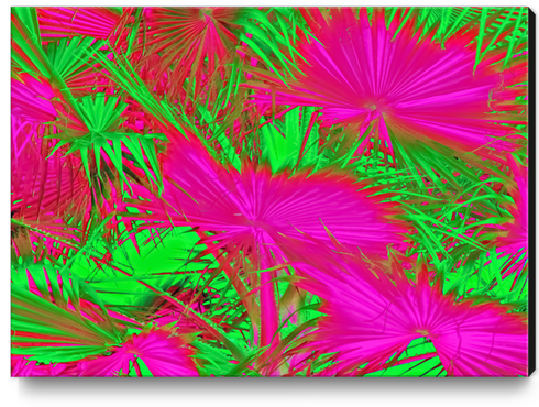 closeup palm leaf texture abstract background in pink and green Canvas Print by Timmy333