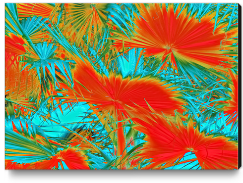 closeup palm leaf texture abstract background in orange blue green Canvas Print by Timmy333