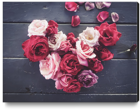 red and pink rose in the heart shape  Canvas Print by Timmy333