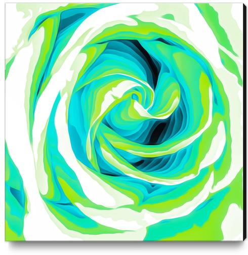 blue and green closeup rose texture background Canvas Print by Timmy333