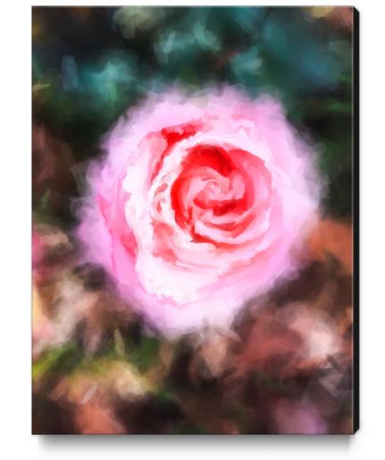 pink rose with green and brown background Canvas Print by Timmy333