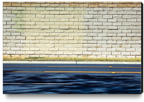 road with shadows and brick wall background Canvas Print by Timmy333