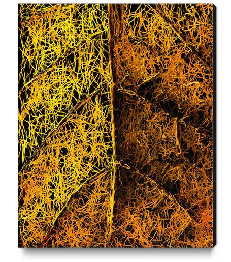 drawing and painting rotten yellow leaf texture abstract  Canvas Print by Timmy333