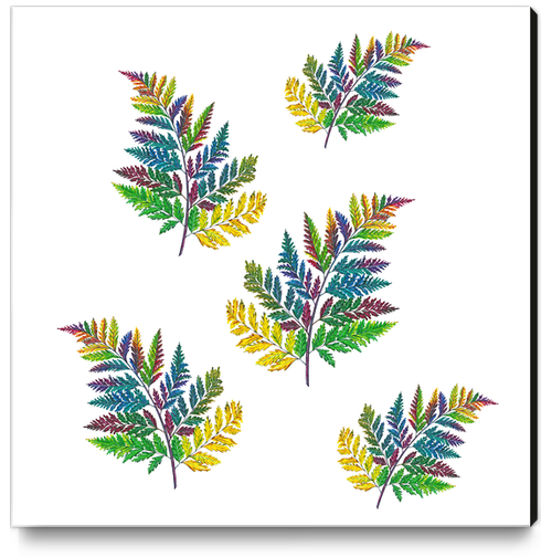 Ferns Canvas Print by Nika_Akin