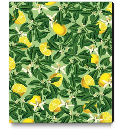 Lemonade V2 Canvas Print by Uma Gokhale