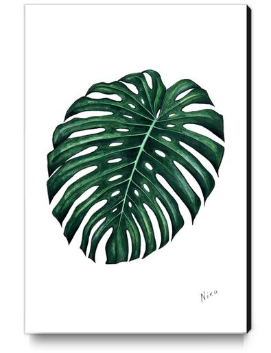 Monstera Canvas Print by Nika_Akin