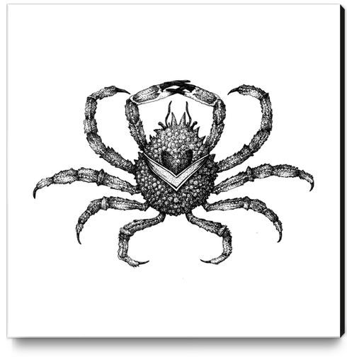 Araignée de mer Canvas Print by Florehenocque