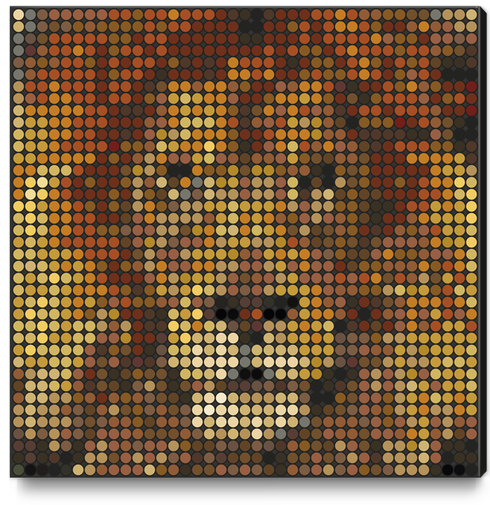 Lion Canvas Print by Vic Storia