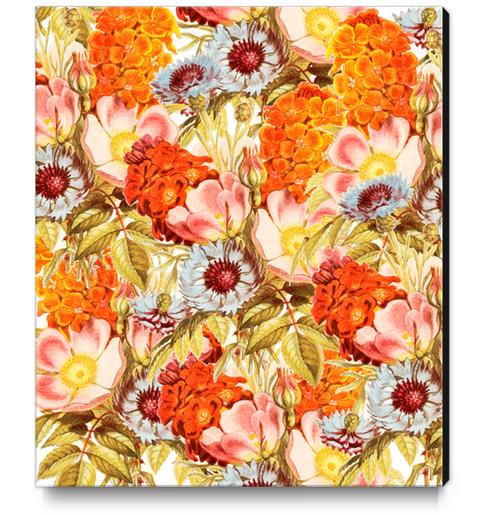 Coral Bloom Canvas Print by Uma Gokhale