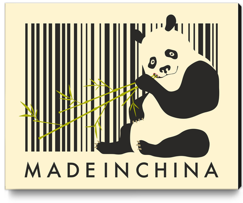 MADE IN CHINA Canvas Print by Jazzberry Blue