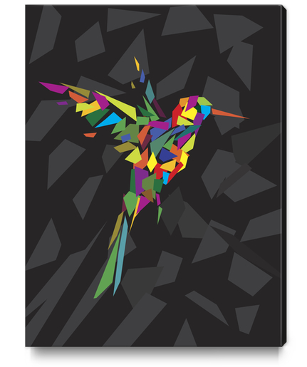 Rainbow Fly-Bird Canvas Print by Alex Xela