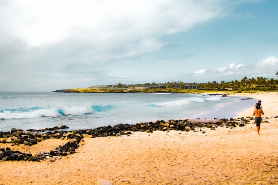 beach with blue wave and blue sky at Kauai, Hawaii, USA by Timmy333