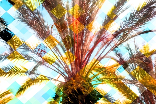 palm tree with geometric pixel square pattern abstract in yellow blue by Timmy333