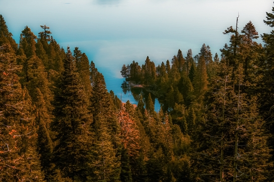 pine tree and lake at Emerald Bay Lake Tahoe California USA by Timmy333