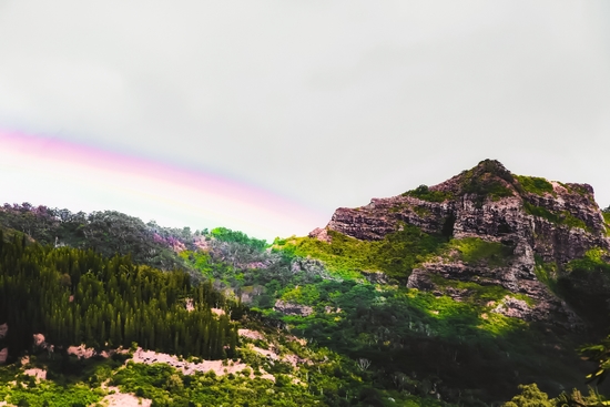 rainbow over the green tropical mountain at Kauai, Hawaii, USA by Timmy333