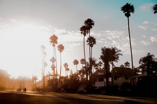 sunset sky in summer with palm tree view in California USA by Timmy333