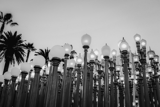 Urban Light at LACMA Los Angeles California USA in black and white by Timmy333